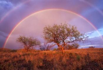 Arizona Rainbow | Obraz na stenu