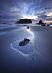 Reflection Whale Head | Obraz na stenu