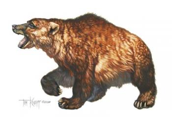 Cave Bear | Obraz na stenu