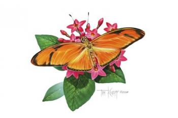 Julia Butterfly | Obraz na stenu