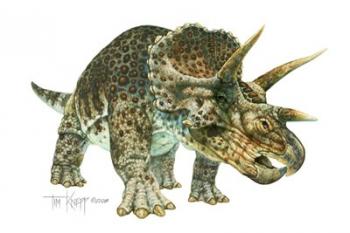 Triceratops | Obraz na stenu