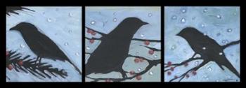 Winter Bird Triptych | Obraz na stenu