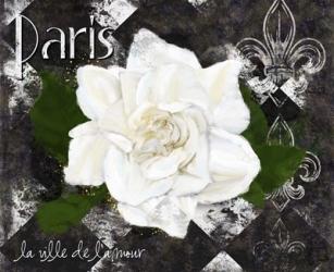 Paris La Vill De L'amour | Obraz na stenu