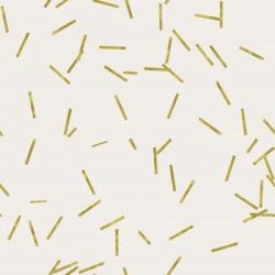 Light Cream Golden Matchstick Confetti | Obraz na stenu