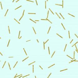Pale Aqua Golden Matchstick Confetti | Obraz na stenu