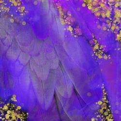 Mid-Summer Magik Purple | Obraz na stenu