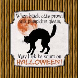 Black Cats | Obraz na stenu
