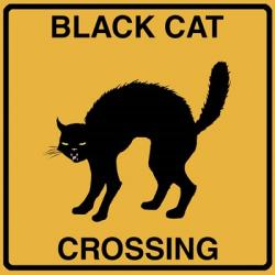 Black Cat Crossing | Obraz na stenu