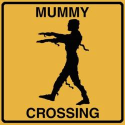 Mummy Crossing | Obraz na stenu