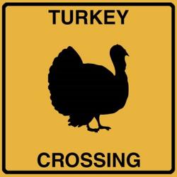 Turkey Crossing | Obraz na stenu