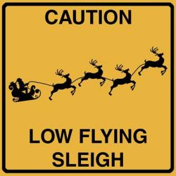 Low Flying Sleigh | Obraz na stenu