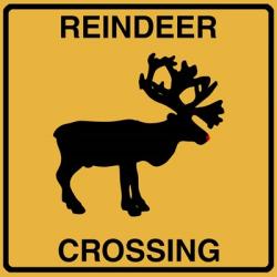 Reindeer Crossing | Obraz na stenu