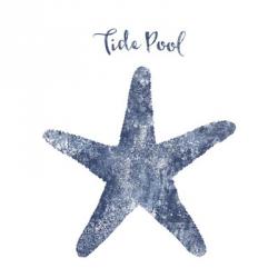 Starfish Tide Pool | Obraz na stenu