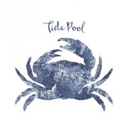 Tide Pool Crab | Obraz na stenu