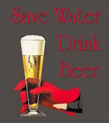 Save Water Drink Beer | Obraz na stenu
