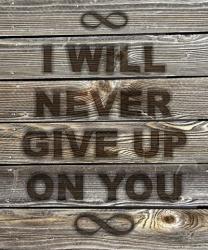 I Will Never Give Up On You | Obraz na stenu