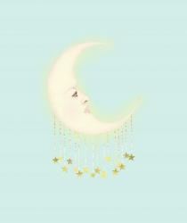 Dreaming Of The Moon | Obraz na stenu