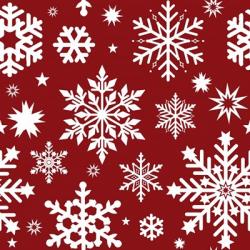 Snowflake Pattern | Obraz na stenu