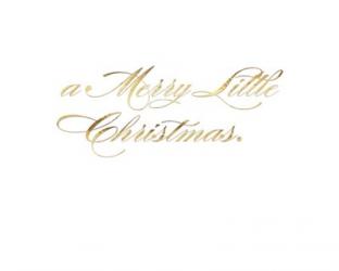 Park Avenue a Merry Little Christmas inside card copy | Obraz na stenu