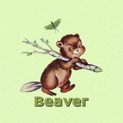 Cute Baby Beaver | Obraz na stenu