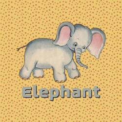 Cute Baby Elephant | Obraz na stenu