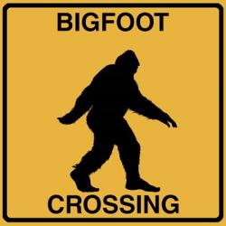 Bigfoot Crossing | Obraz na stenu