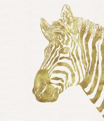 Gilt Zebra | Obraz na stenu