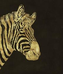 Golden Zebra | Obraz na stenu