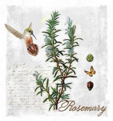 Botanical Garden Rosemary Herb | Obraz na stenu