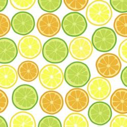 Citrus on White | Obraz na stenu