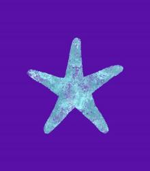 Sponge Sea Star Aqua | Obraz na stenu