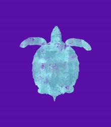 Sponge Turtle Aqua | Obraz na stenu