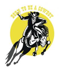 Born to Be a Cowboy Horse n Rider | Obraz na stenu