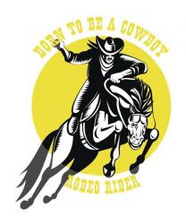Born to Be a Cowboy Rodeo Rider 2 | Obraz na stenu