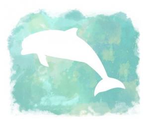 Heart of the Sea Dolphin | Obraz na stenu