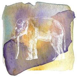 Color Spot Safari Animals Elephant | Obraz na stenu