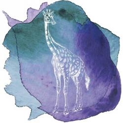 Color Spot Safari Animals Giraffe | Obraz na stenu