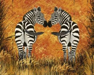 Zebras | Obraz na stenu