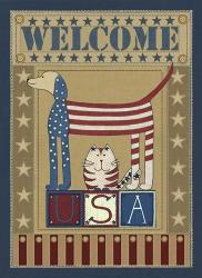 USA Welcome | Obraz na stenu