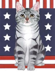 Patriot Cat | Obraz na stenu