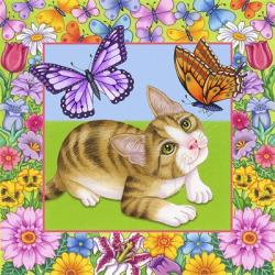 Butterfly Kitten | Obraz na stenu