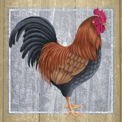 Chicken 1 | Obraz na stenu