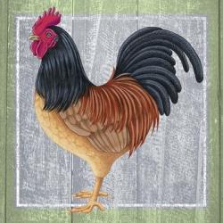 Chicken 2 | Obraz na stenu