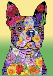 Flowers Boston Terrier | Obraz na stenu