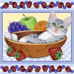 Fruit Bowl Kitten | Obraz na stenu