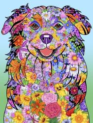 Flowers Australian Shepherd | Obraz na stenu