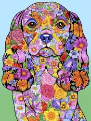 Flowers Cavalier King Chas | Obraz na stenu