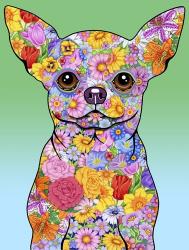 Flowers Chihuahua | Obraz na stenu