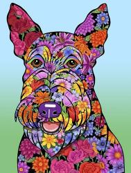 Flowers Scottish Terrier | Obraz na stenu