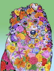 Flowers Shetland Sheepdog | Obraz na stenu